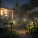 Bullet - Spotlight on Spike 3W