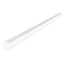 Educator - 5FT Low Glare Batten