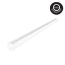 Educator - 5FT Low Glare Batten