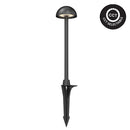 Oasis || LED || Landscape Path Spike Light
