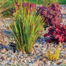 Eden - Garden Spotlight on Spike with Lamp