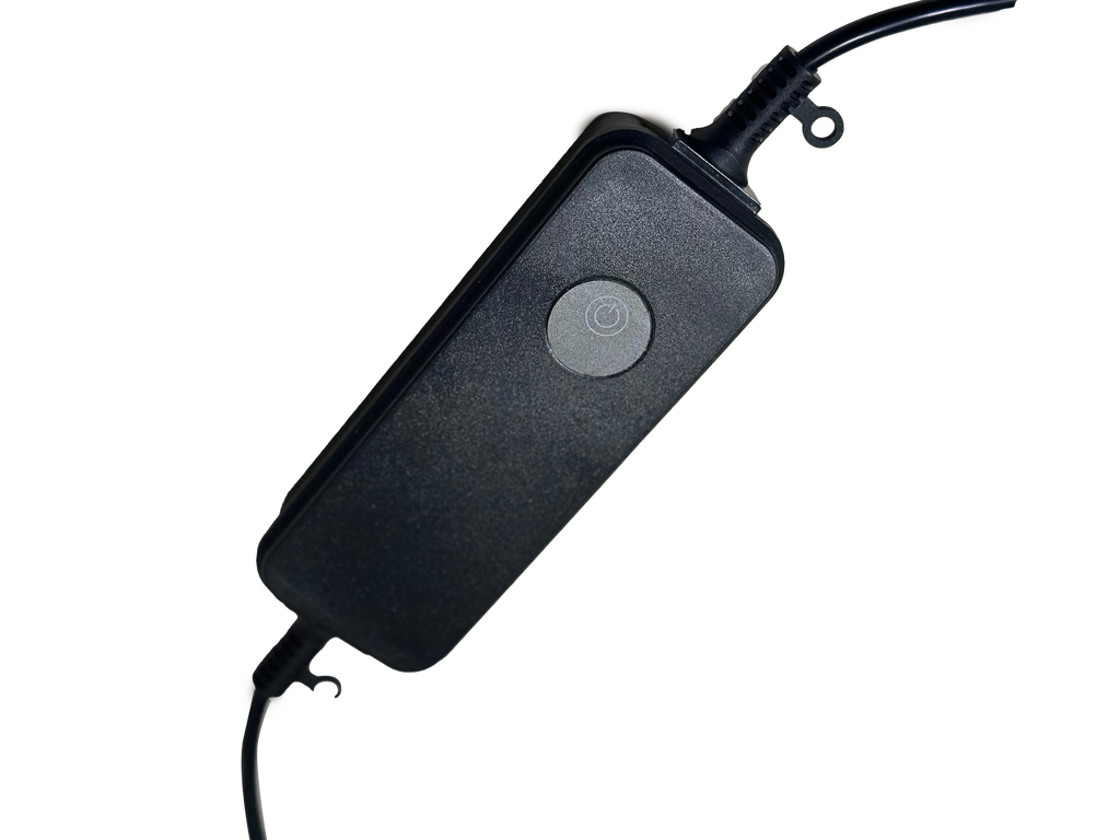 Festoon Switch Festoon Light
