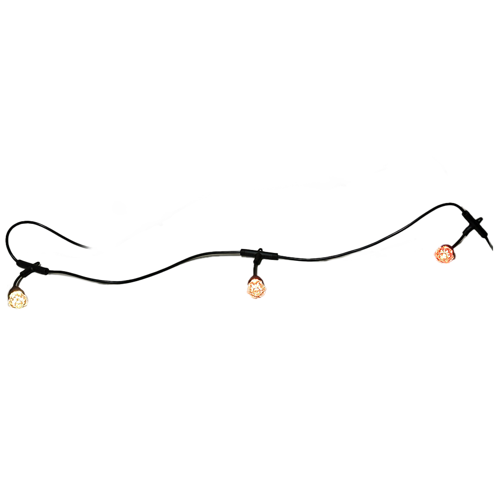 Festoon Switch Festoon Light