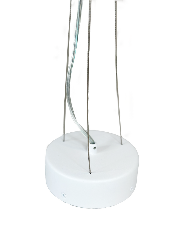 Venius- V01 Large - Suspension Cable/ Ceiling Rose