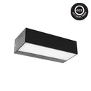 Apical - CCT - Small - Up/Down Wall Light