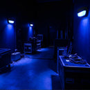 Ovate Eyelid Blue LED Oval Bulkhead