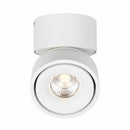 Bijou - Single Swivel Downlight
