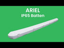 Ariel - 5FT IP65 Standard Batten