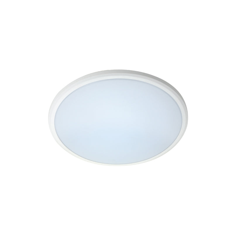 EV - 20W Button - Non-Dimmable