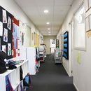 GEO20 - 20W Single Colour Temperature