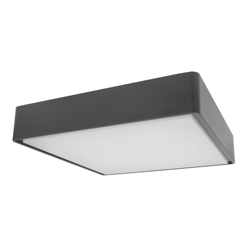 Parkes - Square Ceiling / Wall Light