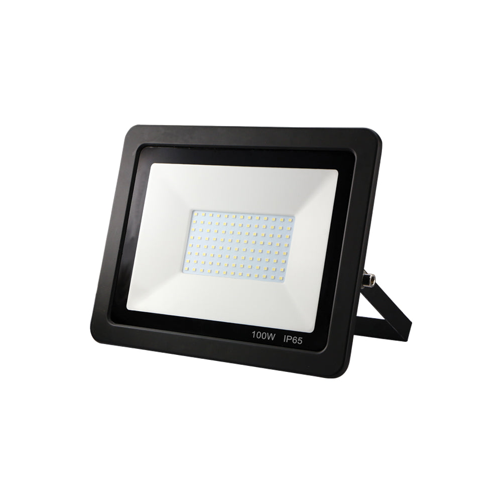 EconLED Floodlight 100W