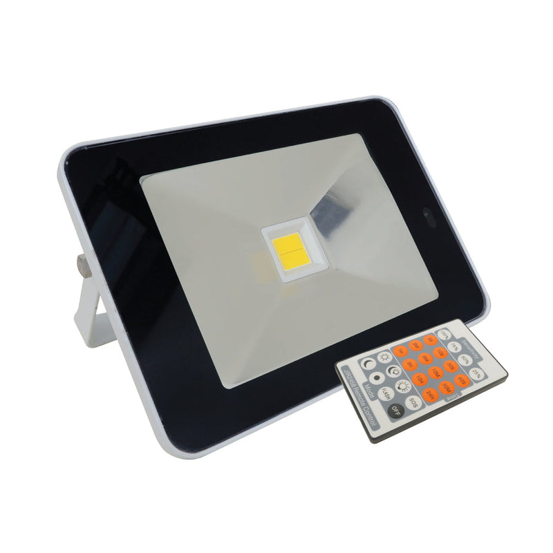 EconLED Domestic Sensor Floodlight - 30W