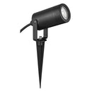 Eden - Garden Spotlight on Spike