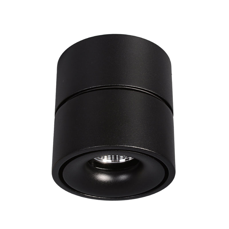 Bijou - Single Swivel Downlight